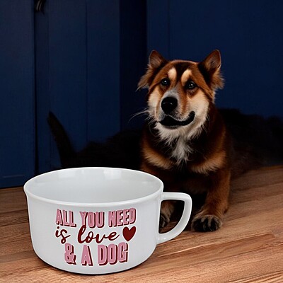 Coffee Mug Dog Bowl – "All You Need is Love & a Dog" Design, Ceramic Bowl for Pets with Fun and Heartwarming Message
