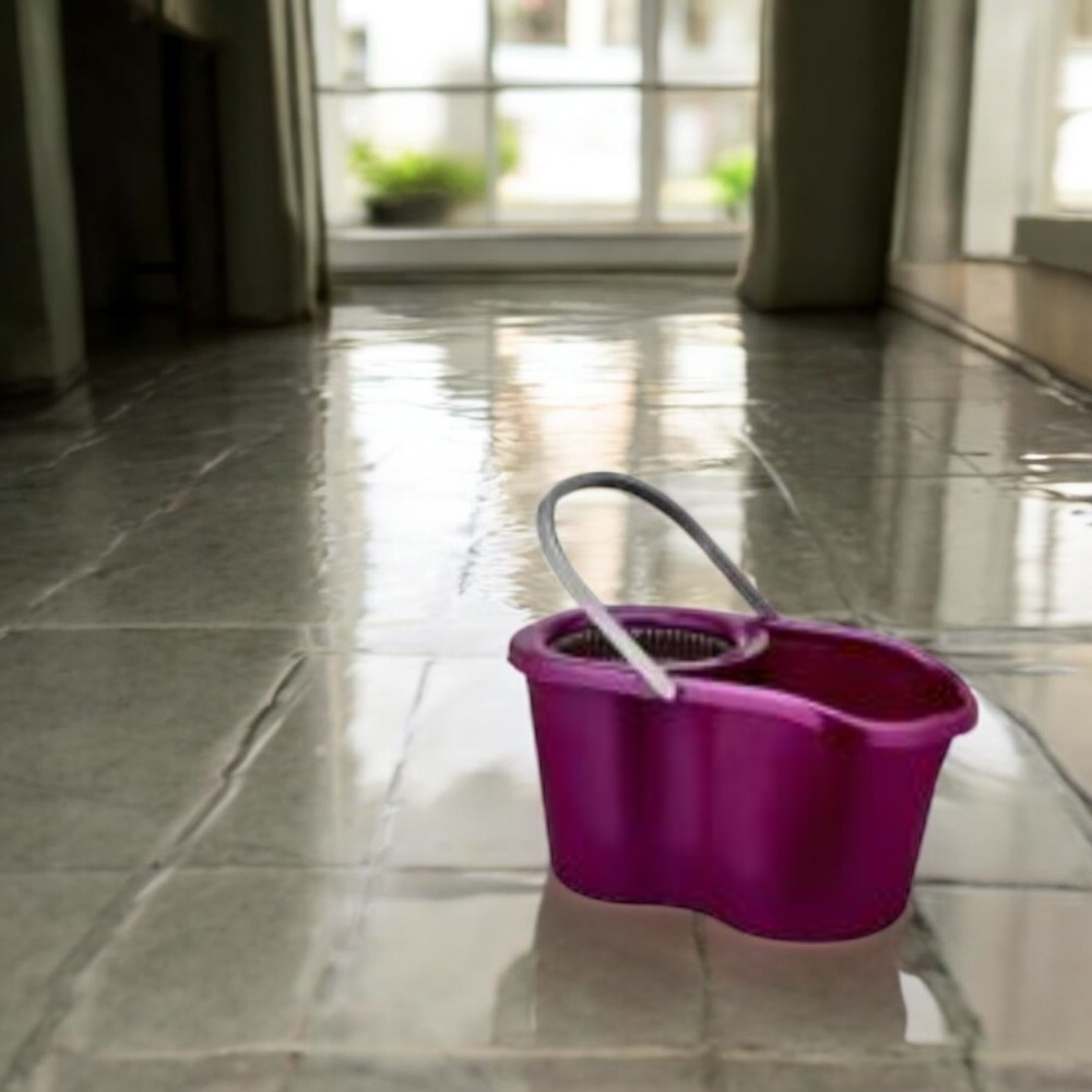 Magic Mop Bucket Lisa 360 Degree Rotating Mop - 12L Capacity, Purple (Model: ZLN1389PR)