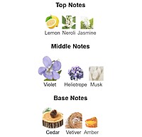 Dsquared2 She Wood - EDP 100 ml Dsquared2 She Wood - EDP 100 ml