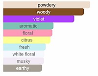 Dsquared2 She Wood - EDP 100 ml Dsquared2 She Wood - EDP 100 ml