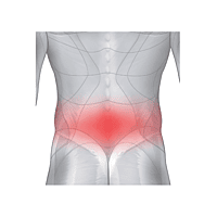 Sensiplast - Back Brace - L/XXL Sensiplast - Back Brace - L/XXL
