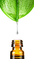 Shangrila Aromatherapy Oil-Aceite esencial 10 ml Shangrila Aromatherapy Oil-Aceite esencial 10 ml