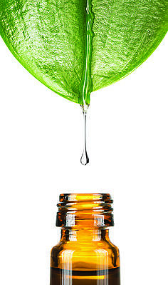 Shangrila Aromatherapy Oil-Aceite esencial 10 ml