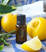 Fragrant Garden , Lemon Water Soluble Aromatherapy Oil-Aceite essential Fragrance Oil, Premium Scented Oils for Diffuser, Soap & Candle Making Scents, Aromatherapy Oils Gift , 10ml Fragrant Garden , Lemon Water Soluble Aromatherapy Oil-Aceite essential Fragrance Oil, Premium Scented Oils for Diffuser, Soap & Candle Making Scents, Aromatherapy Oils Gift , 10ml
