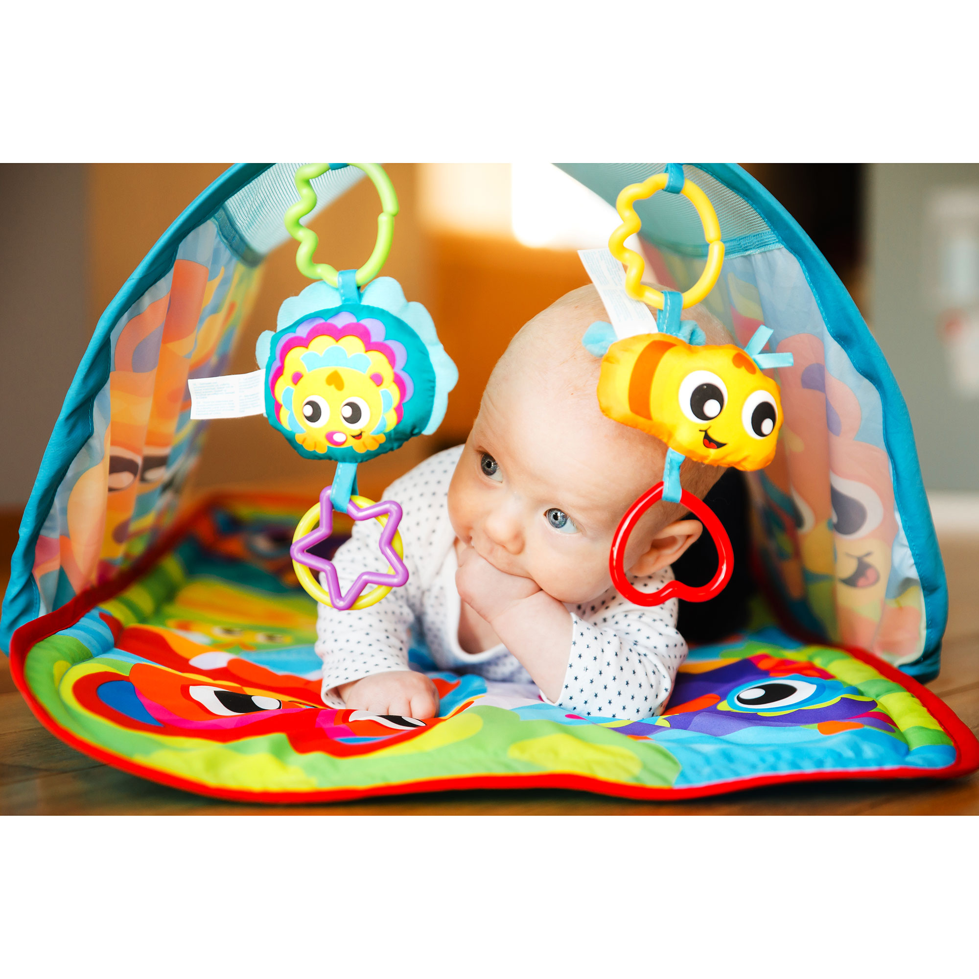 Playgro - Honey Bee Bear Activity Tunnel Gym Playgro - Honey Bee Bear Activity Tunnel Gym