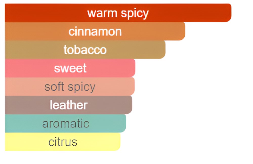 Viktor & Rolf Spicebomb for Men - Eau De Toilette