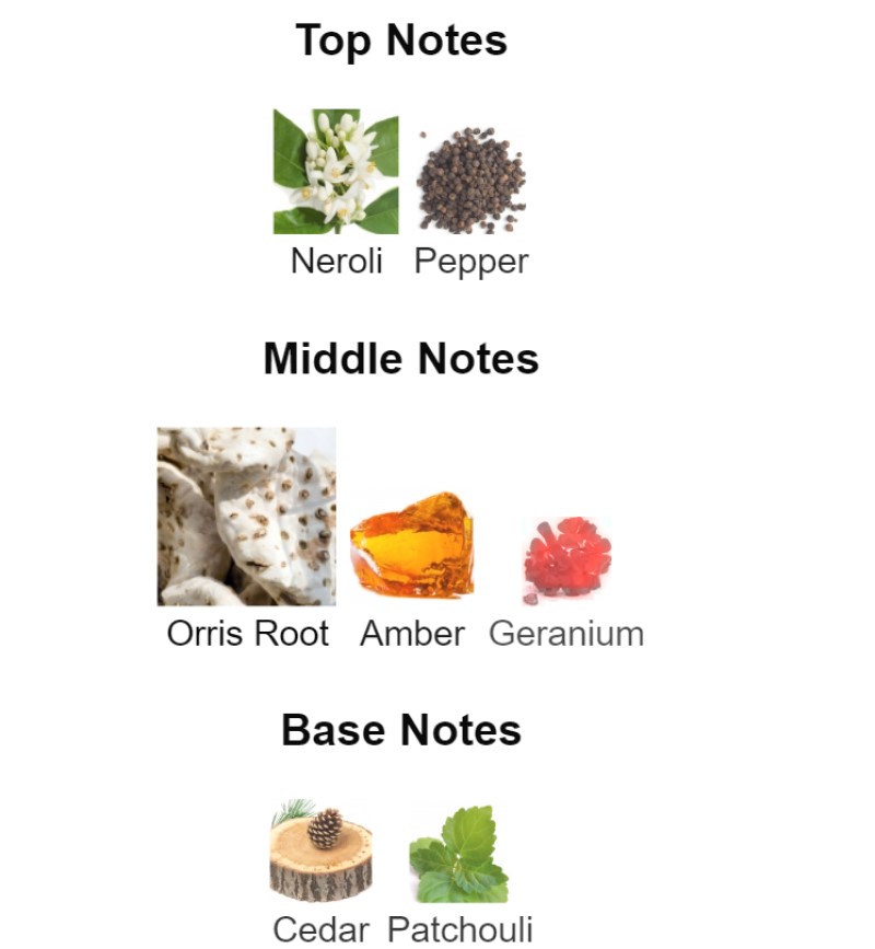 Ajmal Evoke Gold for Men - EDP 90 ml