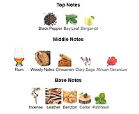 Bentley Intense Fragrance for men Bentley Intense Fragrance for men