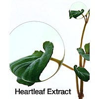 Anua - Heartleaf Pore Control Cleansing Oil 200ml - Korean Skin Care Anua - Heartleaf Pore Control Cleansing Oil 200ml - Korean Skin Care