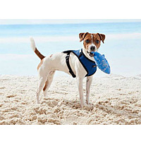 zoofari Dog Harness, with Fleece Trim zoofari Dog Harness, with Fleece Trim