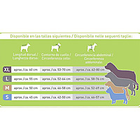 Dog Raincoat Impermeable Para Perro Dog Raincoat Impermeable Para Perro