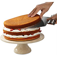 Stainless Steel Layer Cake Slicing Stainless Steel Layer Cake Slicing