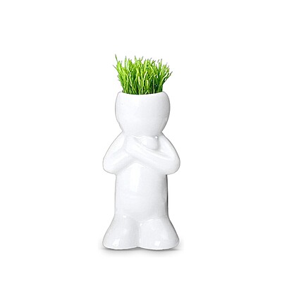 zao doll