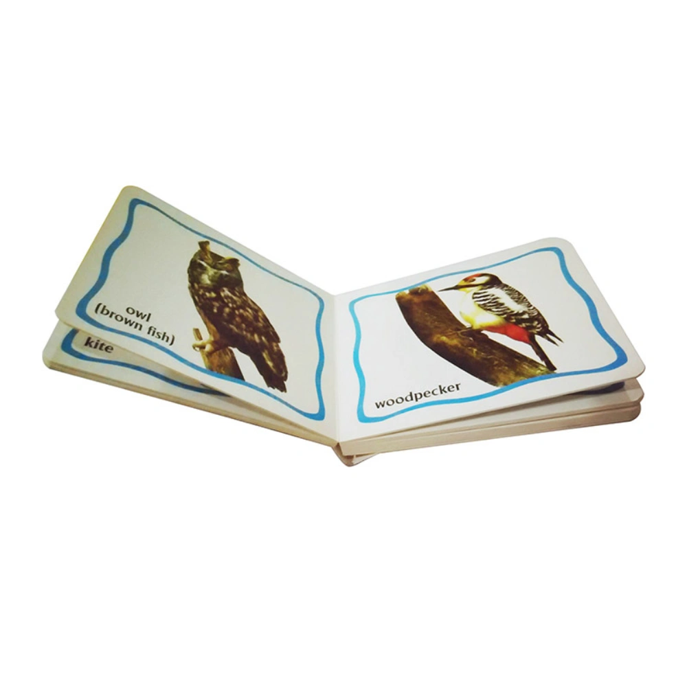 CREATIVE Look & Learn Birds (100 Pieces) – A Fun and Educational Journey into the World of Birds CREATIVE Look & Learn Birds (100 Pieces) – A Fun and Educational Journey into the World of Birds