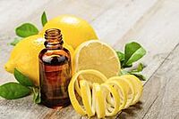 Fragrant Garden , Lemon Water Soluble Aromatherapy Oil-Aceite essential Fragrance Oil, Premium Scented Oils for Diffuser, Soap & Candle Making Scents, Aromatherapy Oils Gift , 10ml Fragrant Garden , Lemon Water Soluble Aromatherapy Oil-Aceite essential Fragrance Oil, Premium Scented Oils for Diffuser, Soap & Candle Making Scents, Aromatherapy Oils Gift , 10ml