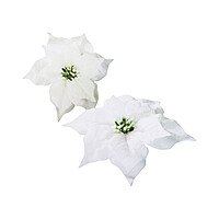 Livarno Home - White Clip-On Poinsettia Set of 2 Livarno Home - White Clip-On Poinsettia Set of 2