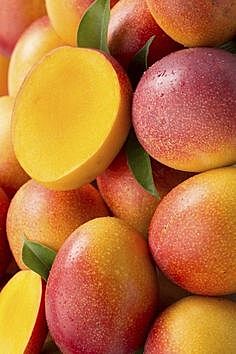 Mango Aromatherapy Oil-Aceite esencial 10 ml
