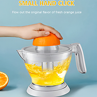 RAF Citrus Juicer 45W 220V RAF Citrus Juicer 45W 220V