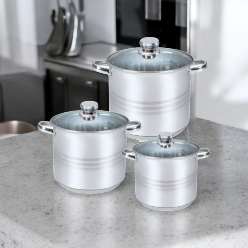 Zilan 6-Piece Stainless Steel Cookware Set (20cm + 22cm + 24cm) with Glass Lids & Induction Base, ZLN4045 – Durable, Versatile, and Elegant Cooking Solution