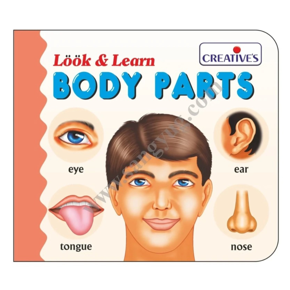Creative Look & Learn Body Parts – An Educational Flash Card Set for Teaching Children About the Human Body (24 Pieces)
