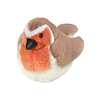 RSPB Birds – Robin