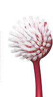 Dish Brush Set of 2 BrushS , Dish Scrub Brush, Scrubber Brush and Straw Brush - Kitchen Scrub Brushes Long Handle for Cleaning Cleaner Wash Dish Sink Dishes Cup Pot Dish Brush Set of 2 BrushS , Dish Scrub Brush, Scrubber Brush and Straw Brush - Kitchen Scrub Brushes Long Handle for Cleaning Cleaner Wash Dish Sink Dishes Cup Pot