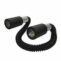Zhengyin Flashlight snake Zhengyin Flashlight snake